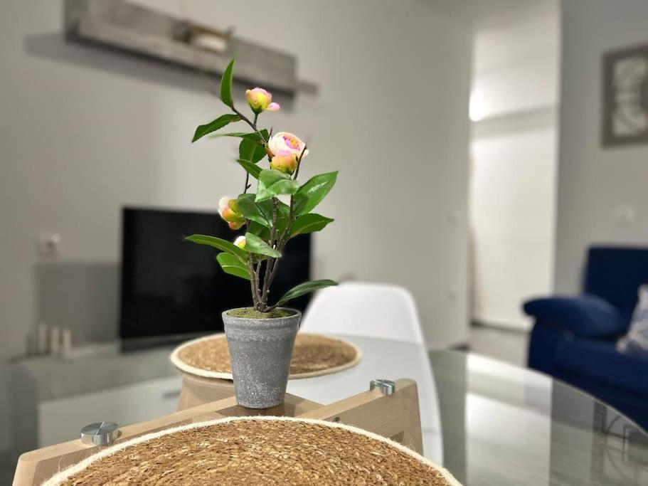 Apartamentos Rincon Andaluz 3 Kordoba Zewnętrze zdjęcie